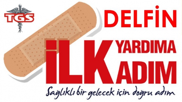 Delfin İlkyardım Eğitim Hizmetlerimiz